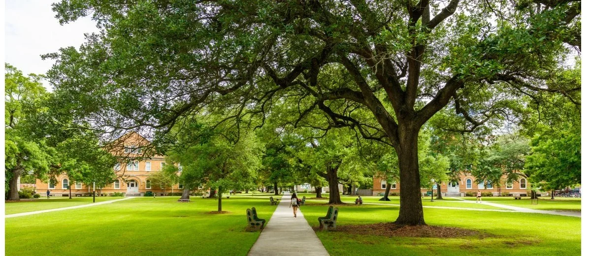 A tree-lined college campus quad